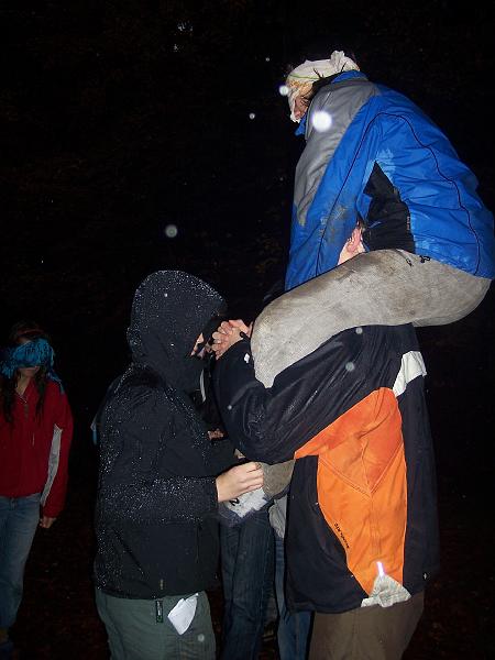 100_4479.JPG