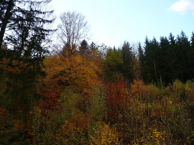 P1030058.JPG