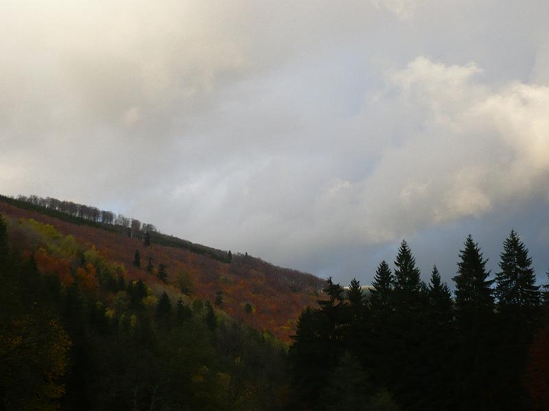 P1030063.JPG