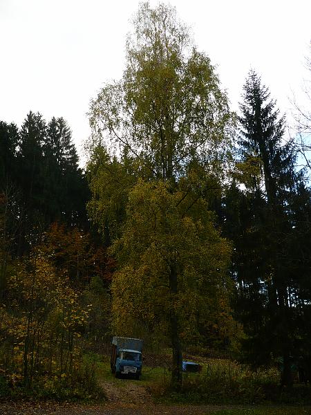 P1030065.JPG