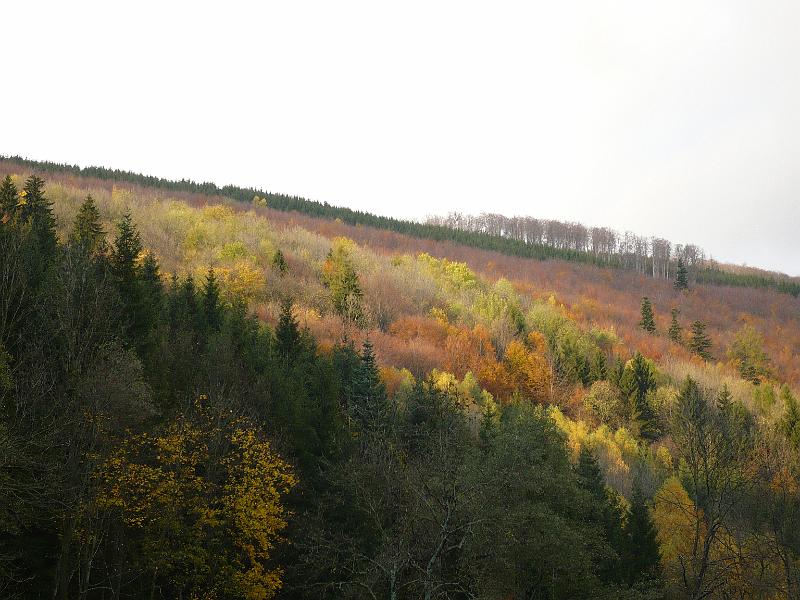 P1030073.JPG