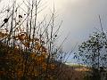 P1030061