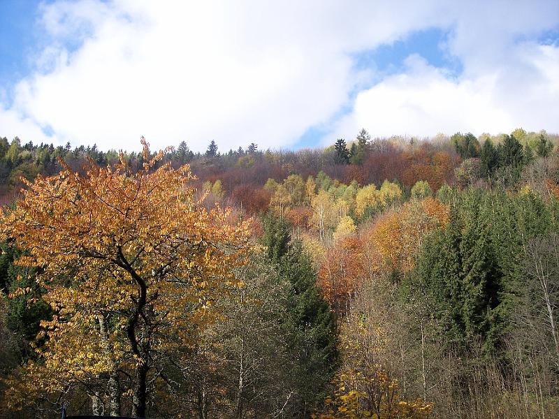 100_4660.JPG