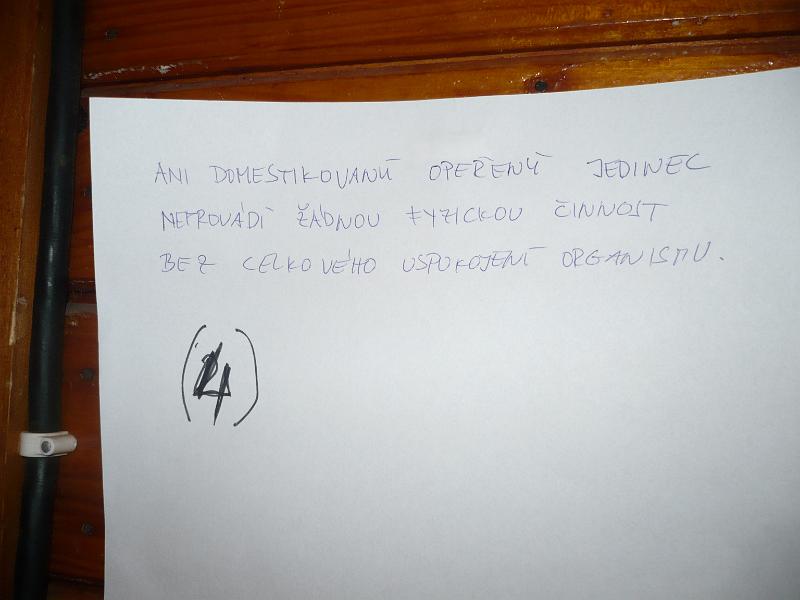 P1020792.JPG